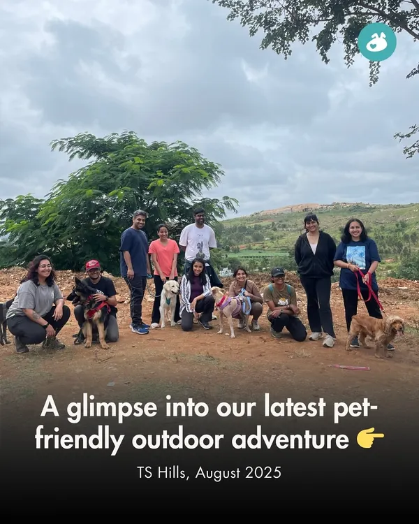 A glimpse into our latest pet-friendly outdoor adventure at TS Hills. This group of pet parents and their dogs are all smiles after a rewarding morning hike.