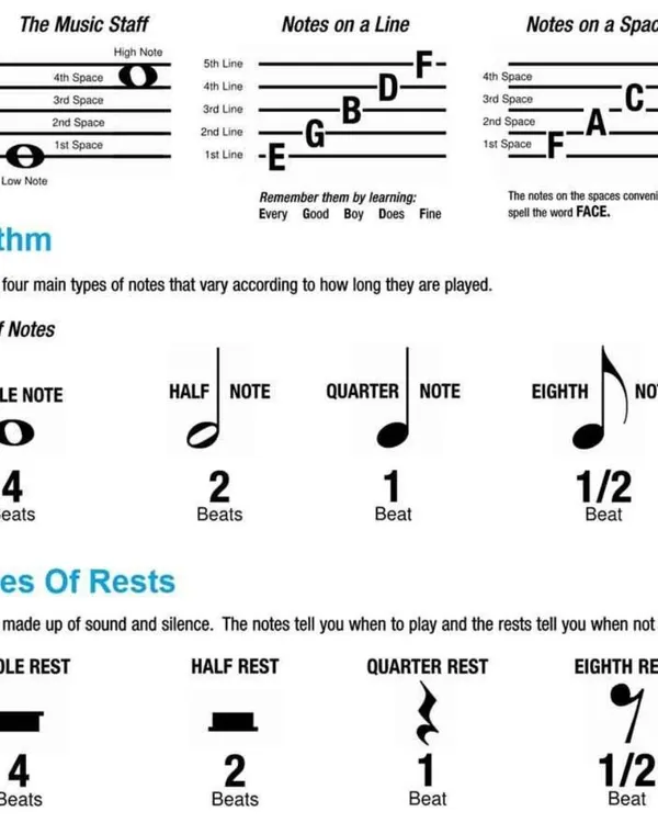 Here is a quick guide to understanding the music staff, notes, and rests. Knowing these basics is the first step to reading music fluently.