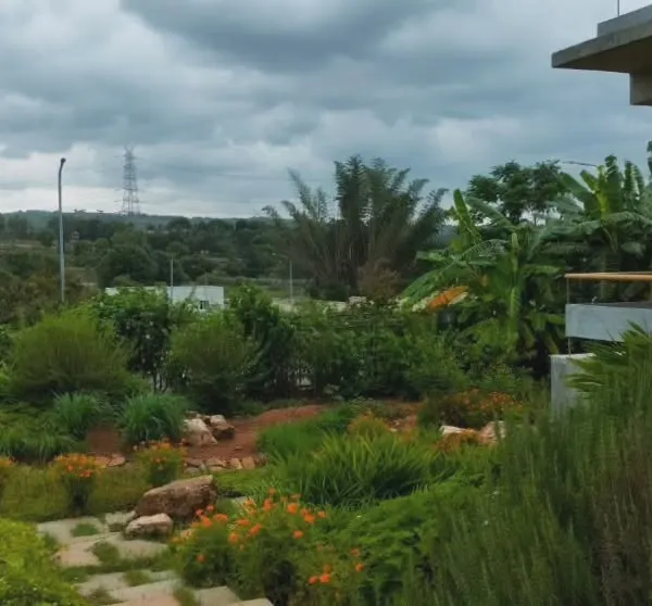 A wide view of the eco-sensitive landscape at Kaggalipura, designed for a wildlife conservationist. The land is crafted to support diverse habitats, using native plants to create a home within a home for birds and other species.