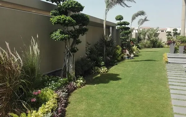 This garden features our expert topiary work, with trees sculpted into beautiful, artistic shapes. We combine these feature plants with ornamental grasses and a pristine lawn for a sophisticated look.