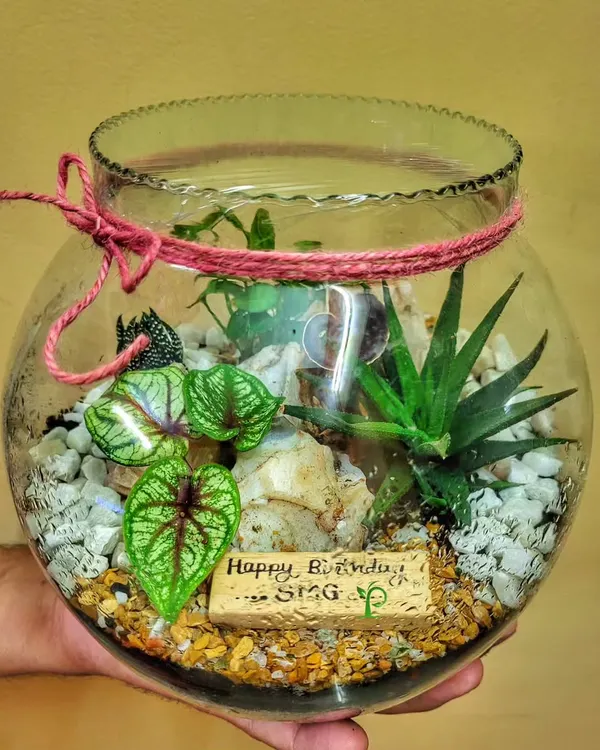 A personalized terrarium makes a wonderful birthday gift. This enclosed bowl creates a self-sustaining ecosystem for delicate plants and features a custom "Happy Birthday" message inside.