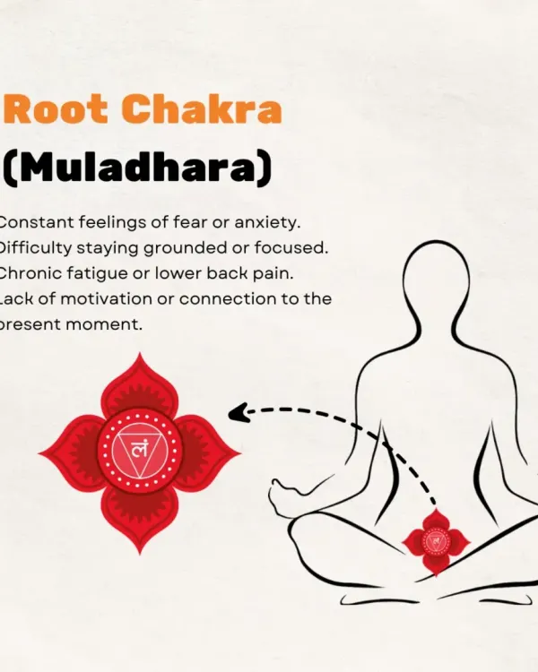 The Root Chakra, or Muladhara, is your foundation. Blockages here can manifest as anxiety, difficulty focusing, or chronic fatigue. We work to ground this energy, restoring your sense of security and presence.