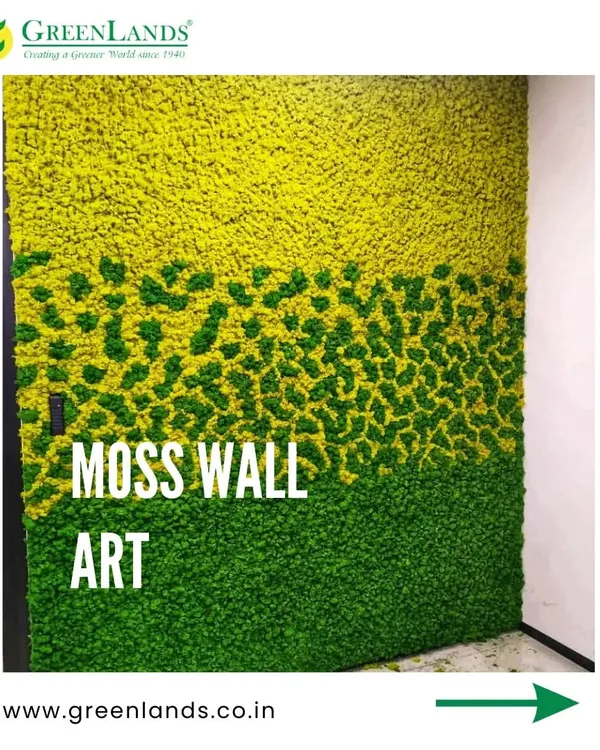 This is a custom-designed preserved moss wall I installed in Pune. Using different shades of green and yellow moss, I created a unique, textured art piece that brings the feel of nature indoors with absolutely no watering or sunlight required.