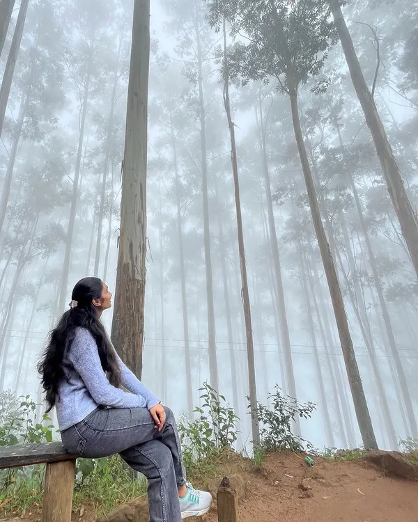 A trekker sitting peacefully in the iconic misty pine forest of Kodaikanal. It's like a scene from a movie.