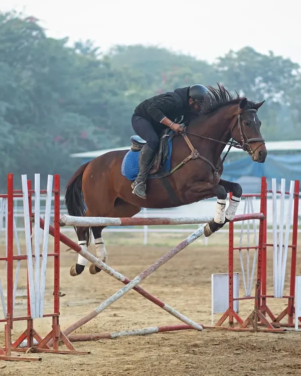 This is the moment of perfect partnership between horse and rider. I train my students to achieve the power and precision needed to clear impressive heights like this 1.35-meter jump.