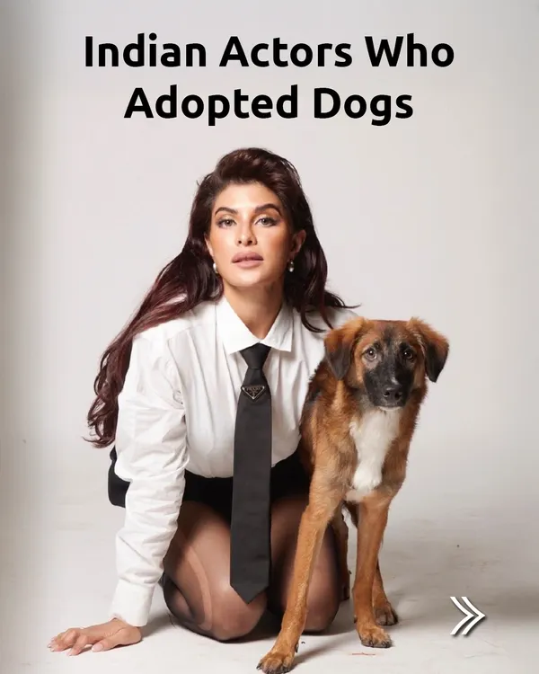 We love to see Indian actors using their platform to promote adoption. Every time a celebrity gives a home to an indie dog, it sends a powerful message: Adopt, Don't Shop.