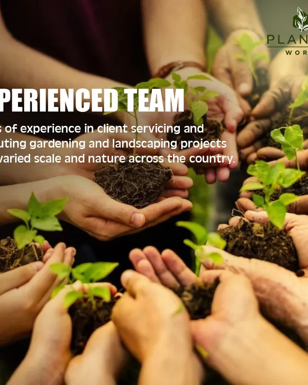 My experienced team has executed gardening and landscaping projects of varied scales across the country. We bring years of experience in client servicing and a shared passion for creating green spaces to every job we undertake.
