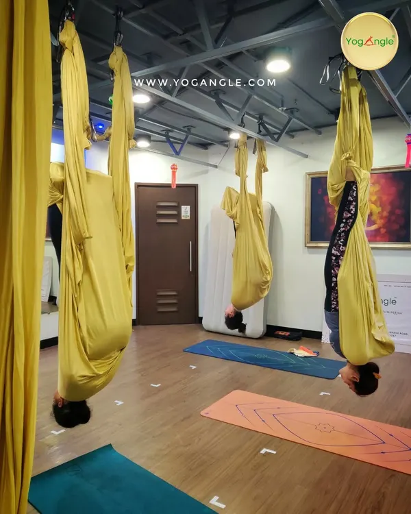 Welcome to our studio, where you can leave the stress of the ground behind. This shot captures the serene, focused atmosphere of an inversion session, where students learn to let go and trust the hammock.