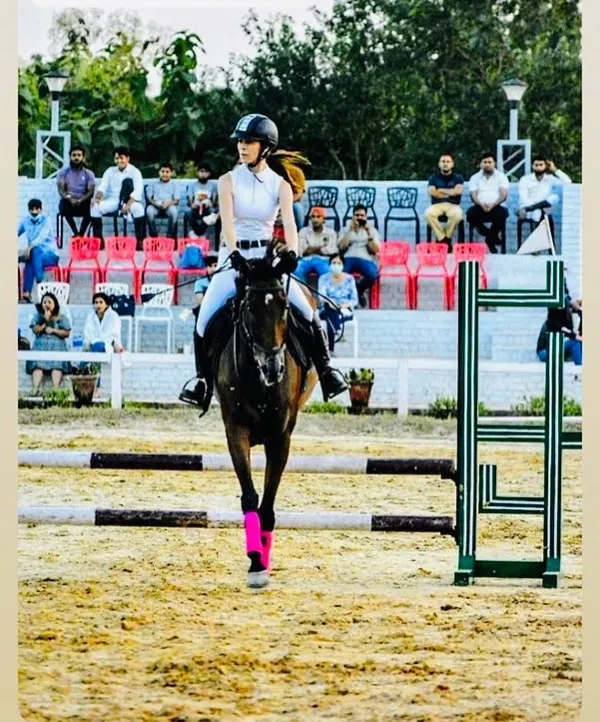 A rider demonstrates perfect form and focus while approaching an obstacle during a show jumping event. Our training emphasizes balance and clear communication with the horse.
