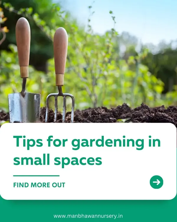 This graphic introduces the idea of gardening in small spaces, a core part of my service. I believe everyone deserves a garden, and I have plenty of creative ideas to make it happen, no matter the size of your home.