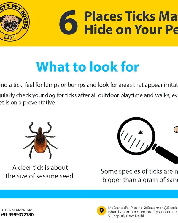 Your pet's safety is my top priority, and that care extends beyond the walk itself. I believe in being proactive, which is why I created this guide to help pet parents know what to look for. After every walk, I perform a thorough tick check on each dog as part of my standard safety protocol.