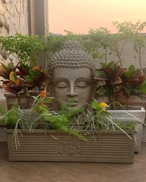 This unique planter featuring a Buddha head is a perfect centerpiece for a tranquil terrace garden. The combination of the serene statue with the vibrant foliage of croton plants creates a powerful and peaceful statement.