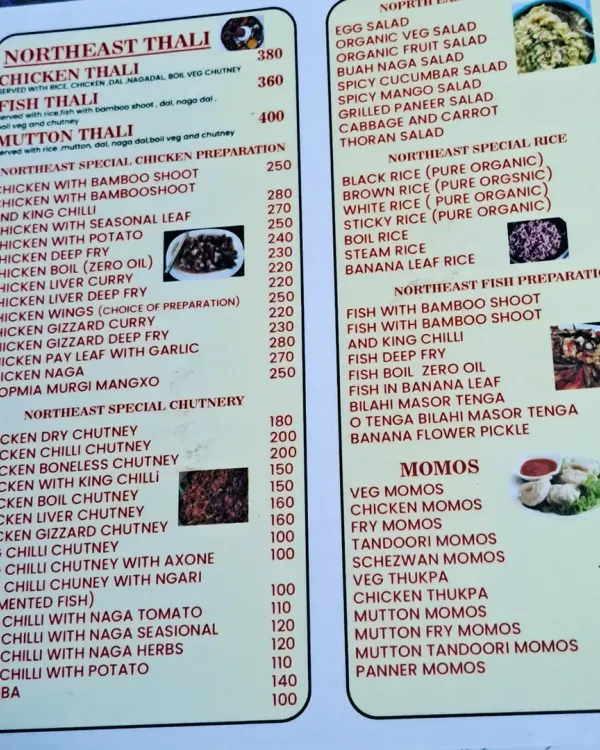 A look at our extensive menu featuring Thalis, special chicken preparations, chutneys, rice, fish dishes, and momos.