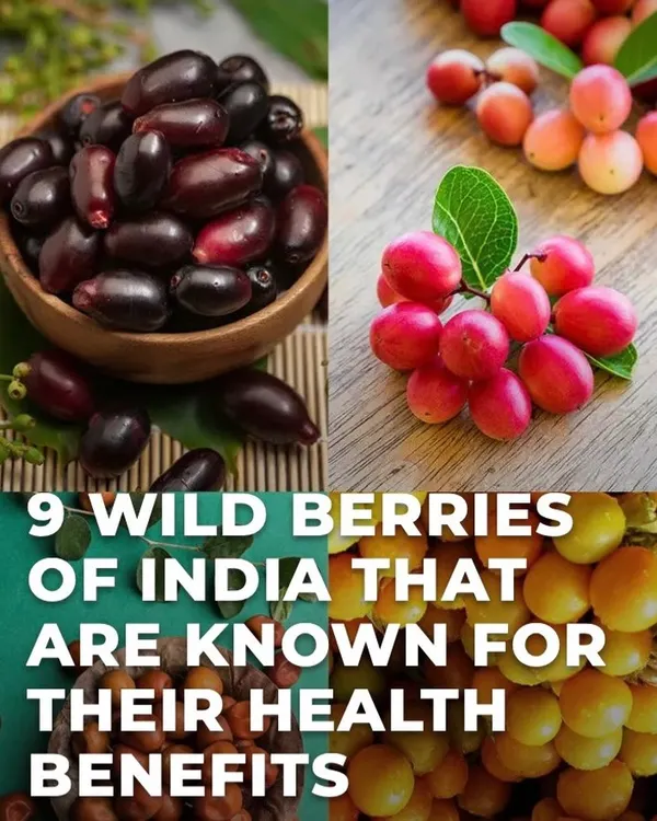 India is blessed with a variety of wild berries that are known for their incredible health benefits. Eating local and seasonal fruits ensures you get the freshest and most nutrient-dense produce available.