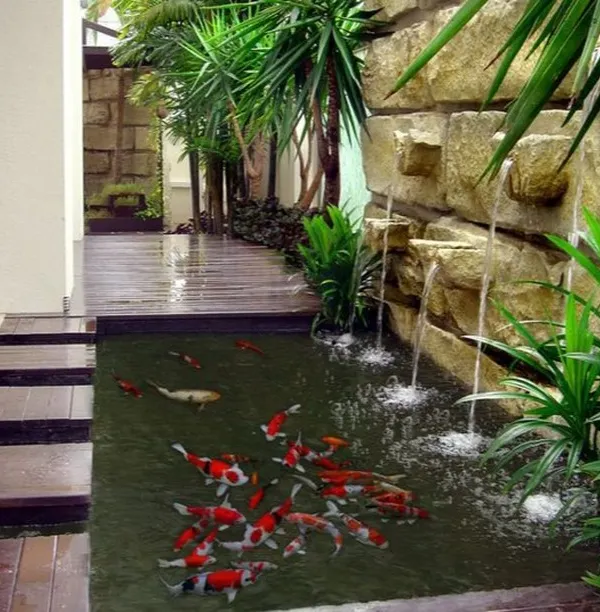A stunning indoor koi pond with a cascading waterfall. This feature brings the sights and sounds of nature inside, with a wooden walkway that allows you to cross over the water, creating a truly unique and immersive experience.