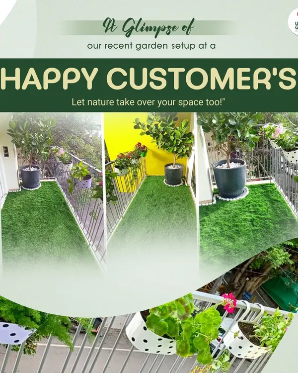 Here is a glimpse of a recent balcony garden setup for a happy customer. We used a combination of potted trees, railing planters, and artificial grass to turn this space into a peaceful green escape with fresh air and blooming beauty.