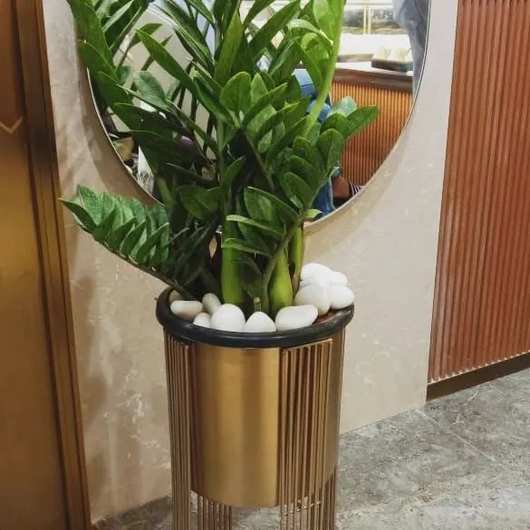 A lifelike artificial ZZ plant potted in a stylish gold-toned metal planter. This is a popular, modern choice for adding a touch of sophisticated greenery to a corner or entryway with zero maintenance.