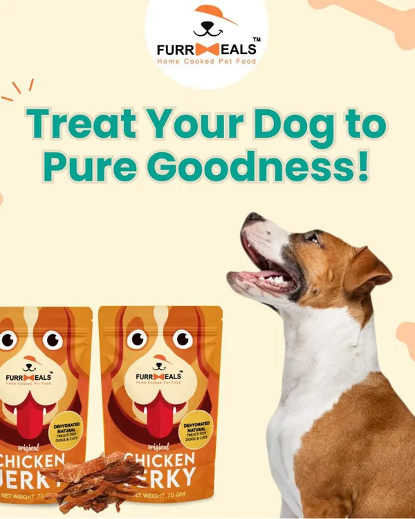 Treat your dog to pure goodness. My Chicken Jerky is a 100% natural, high-protein, and low-fat snack. It's the perfect healthy reward that your dog will absolutely love.