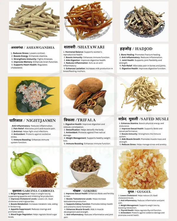 This chart showcases some of the most powerful herbs I work with, like Ashwagandha for stress, Shatavari for hormonal balance, and Trifala for digestion. During our consultation, we will identify which of these ancient remedies can help you on your path to wellness.
