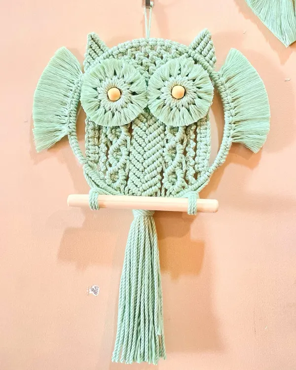 A wise and whimsical macrame owl in a lovely mint green color. The large, detailed eyes and wooden perch make this a charming character for any wall.