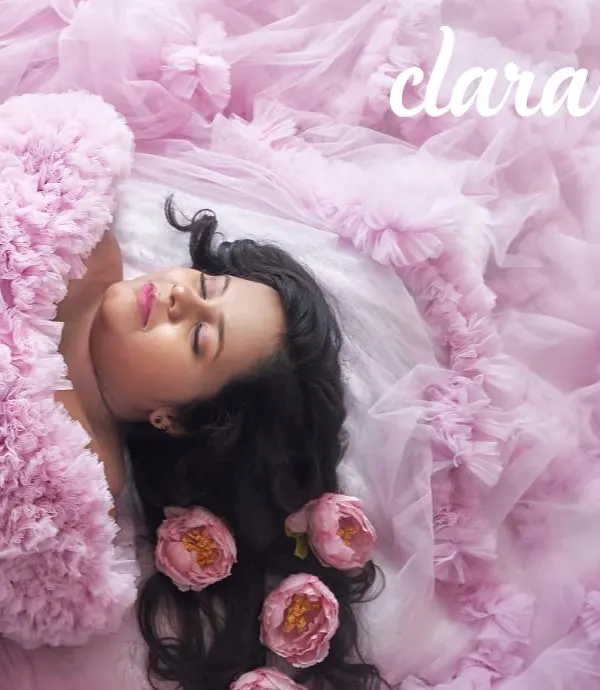 A dreamy overhead shot of our pink Clara gown. The client is surrounded by a sea of ruffles and flowers, creating a truly magical and artistic portrait.