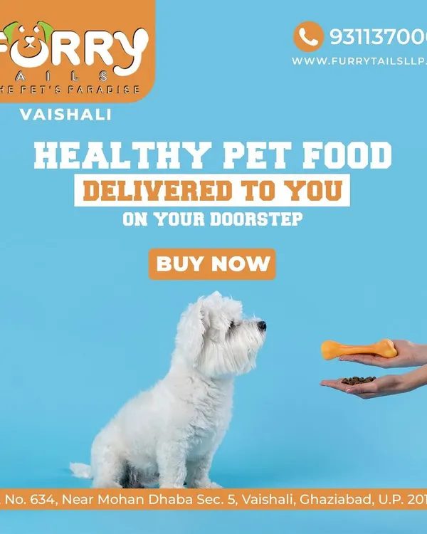 Get healthy and delicious pet food delivered directly to your doorstep. This graphic highlights our convenient pet food delivery service, ensuring your furry friend never misses a nutritious meal.