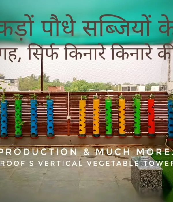 Hundreds of vegetable plants using only the space along the edge of the terrace. This setup shows the incredible efficiency of vertical gardening, giving you great looks, high production, and plenty of open space to walk around.