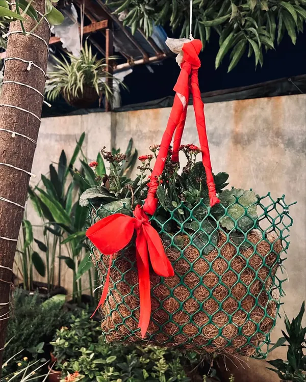 A hanging coir basket filled with flowering plants and decorated with a red ribbon. This is a great example of how I create aesthetic and rustic decor pieces.