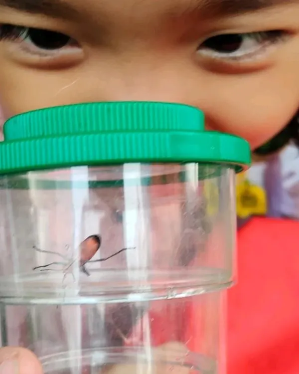 This is the moment it all clicks. The instant a tiny creature, seen up close, transforms from something unknown into a source of pure wonder. My workshops are built around creating these sparks of curiosity that turn into a lifelong love for nature.