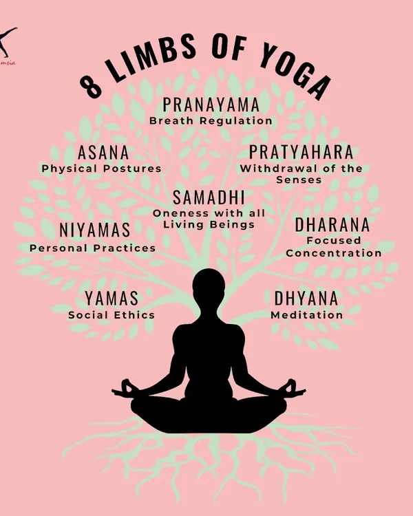 This graphic illustrates the 8 Limbs of Yoga, the foundational philosophy of the practice. It goes beyond physical postures (Asana) to include ethics (Yamas), personal practices (Niyamas), and breath regulation (Pranayama).