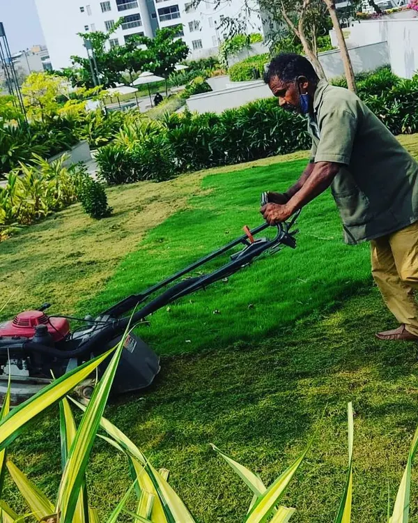 Our lawn care service includes regular grass cutting with professional mowers. This ensures an even, healthy, and green lawn that becomes the foundation of a beautiful garden.