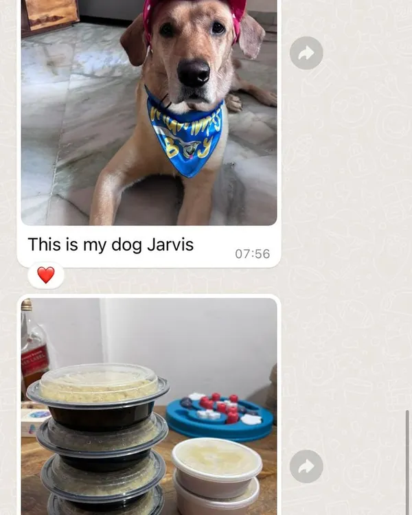 This is Jarvis, one of our very first community members, with his stack of freshly prepared meals. Seeing happy, healthy dogs like him is the best part of my day.
