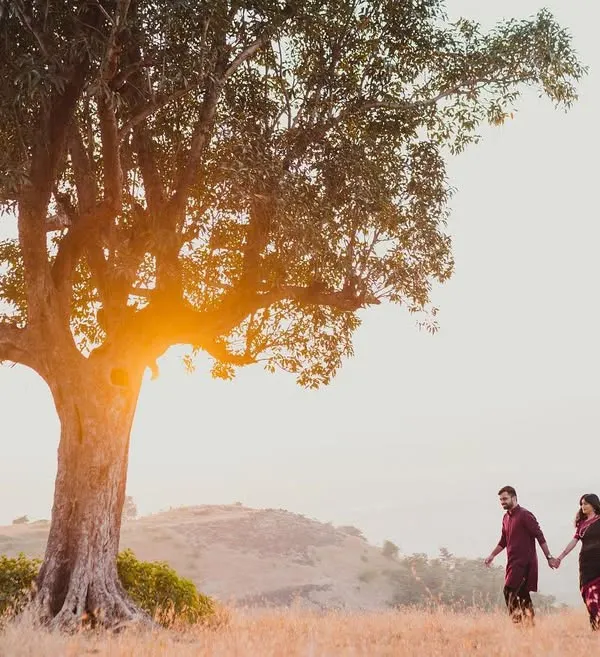A couple walks hand-in-hand under a magnificent tree as the sun sets behind them, casting a beautiful golden glow. This is the essence of a golden hour pre-wedding shoot.