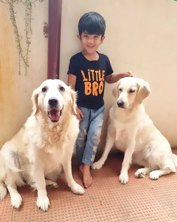 This is what pure love looks like. My son Duggu has grown up with his furry siblings, and he shares that same gentle kindness with every pet who comes to stay with us.