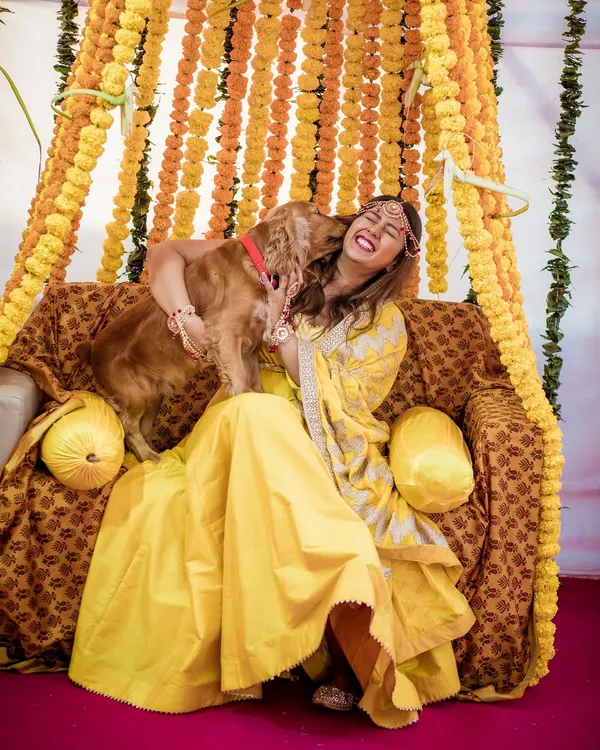 Fur-ever love. The bride gets a happy lick from her cocker spaniel during her Haldi ceremony, a moment of pure, unconditional love.