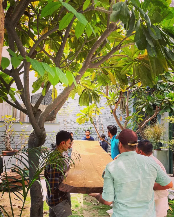 The journey of a custom-designed object. Our team carefully navigates a 4.7-meter-long, 300kg solid oak tabletop through the studio garden, a testament to the scale and effort involved in our bespoke furniture.