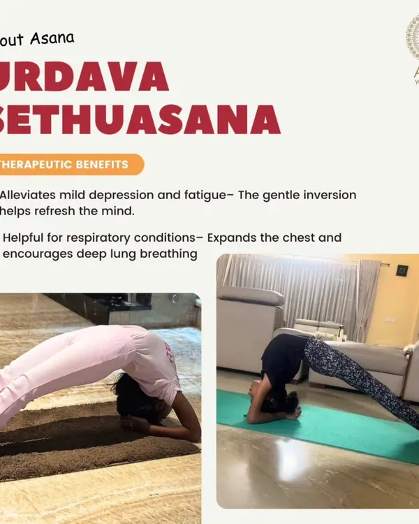 Asana in Focus: Urdava Sethuasana. This graphic details the therapeutic benefits of the Upward Bridge Pose, such as alleviating mild depression and aiding respiratory conditions.