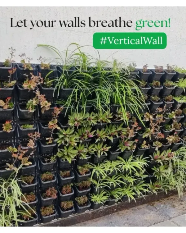 This image shows the basic building block of our natural vertical gardens. Each plant sits in its own pot within a modular grid, allowing for easy maintenance and custom designs with a variety of plant species.