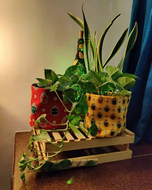 My printed jute bags are a wonderful way to add character to your indoor plants. Here, I've used two different ethnic prints for a money plant and a snake plant, creating a warm and natural decor accent on a wooden crate.