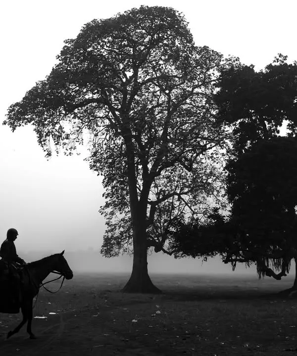 A lone horseman rides through the misty morning fog in Kolkata's Maidan. This black and white shot has a timeless, painterly quality that I love.