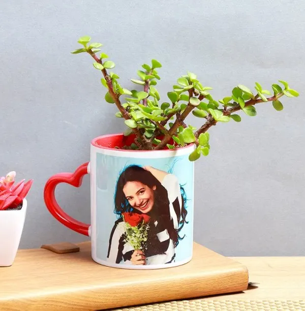 Make your gift truly one-of-a-kind by adding a favorite photo to a mug. I'll plant a lovely Jade in it to create a personalized gift that grows with your memories.