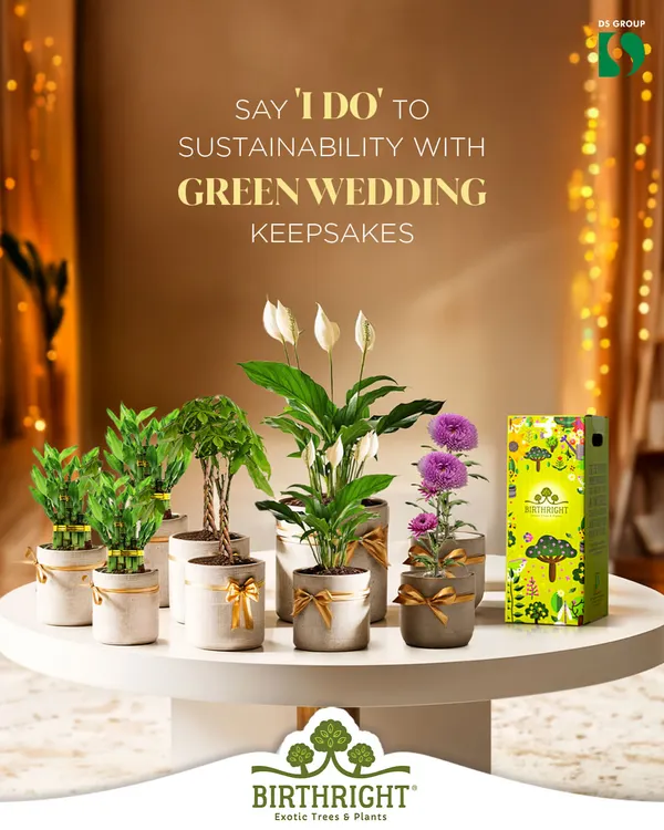 I believe your special day deserves a special touch that grows. My green wedding keepsakes are more than just return gifts; they are living symbols of your new beginning, a sustainable promise your guests can nurture long after the celebrations.