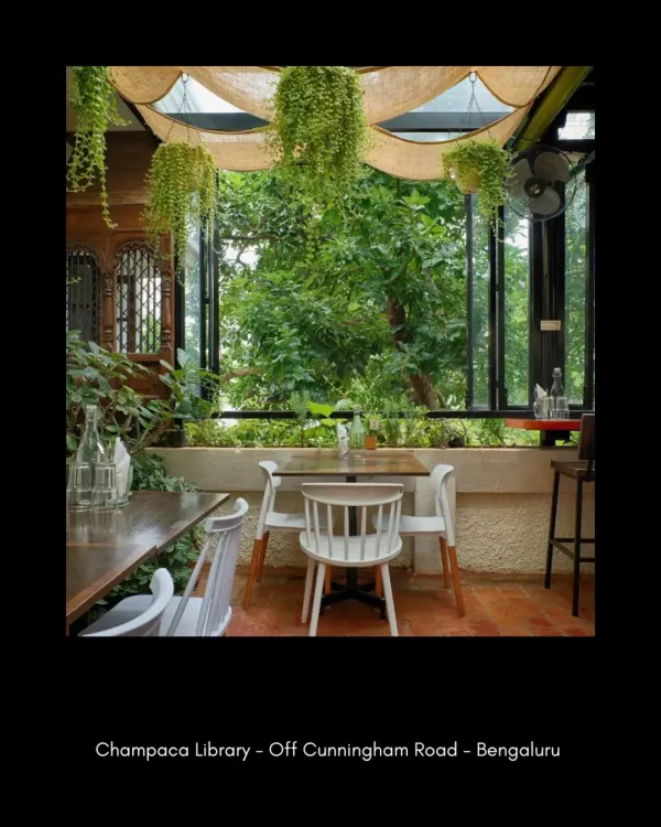 The seating area at Champaca is designed to feel like a veranda, blurring the line between indoors and outdoors. Hanging plants and large, openable windows make the surrounding nature a key element of the decor.