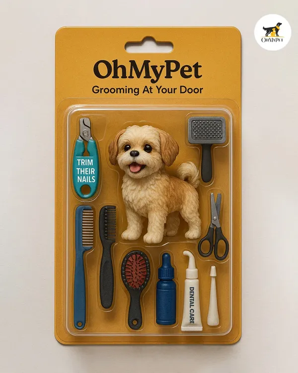 We've packed all the essentials for professional-style grooming right into this at-home kit. It includes everything you need, from nail clippers and brushes to dental care items, making it easy to keep your dog looking and feeling great between salon visits.
