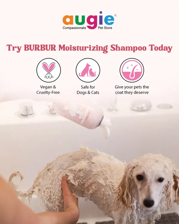 Give your furry friend the bath they deserve with BURBUR Moisturizing Pet Shampoo. It's vegan, cruelty-free, and safe for both dogs and cats, leaving their coat hydrated and shiny.