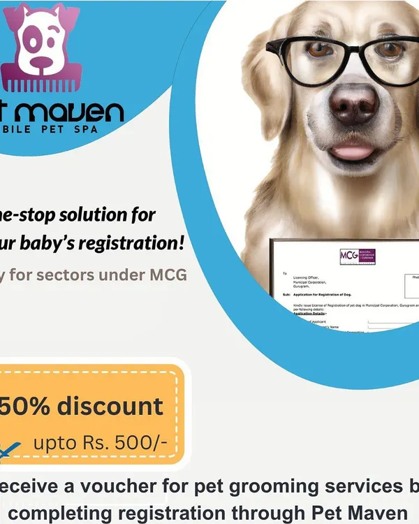 Get a discount on our grooming services! This graphic explains our offer for clients who complete their pet registration through our website in Gurgaon.