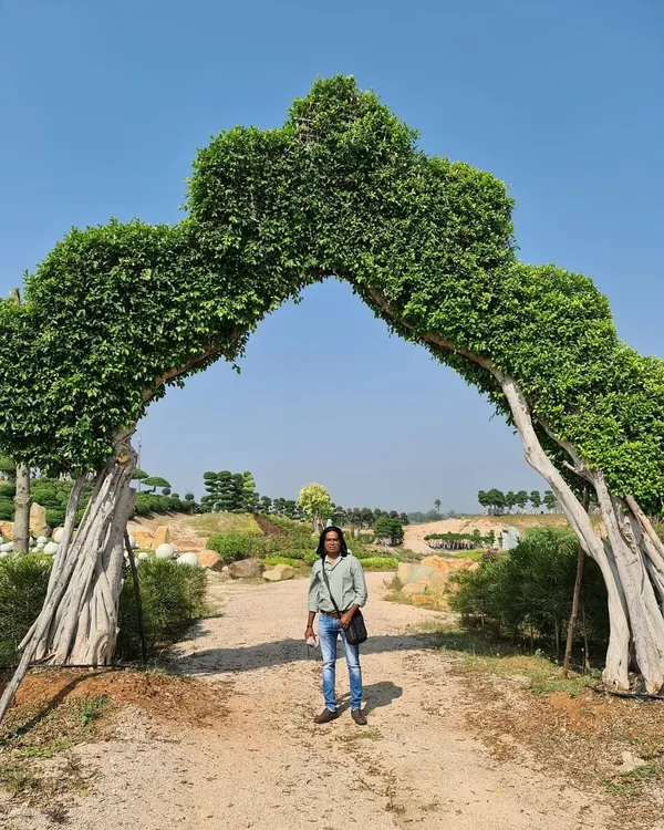 Standing under a magnificent living archway created from two expertly trained Ficus trees. This is a central feature of our expansive Hyderabad botanical garden project.