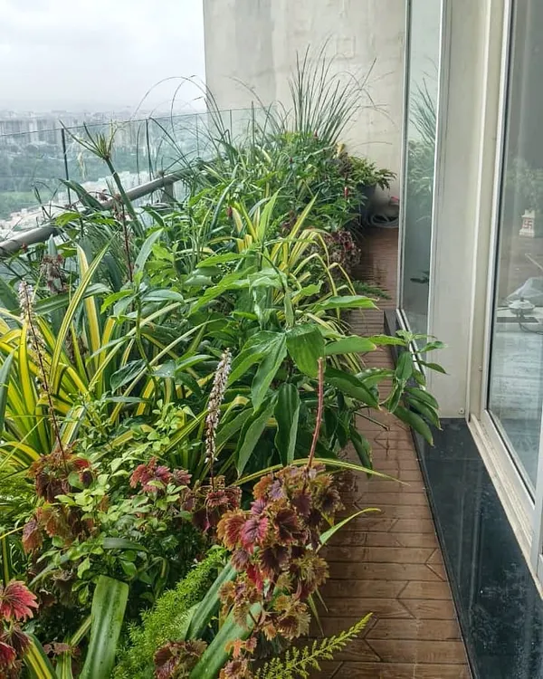 A perfect example of a private jungle in the sky. We used seamless layering with a burst of colors and textures to turn this Mumbai balcony into a luxurious tropical retreat.