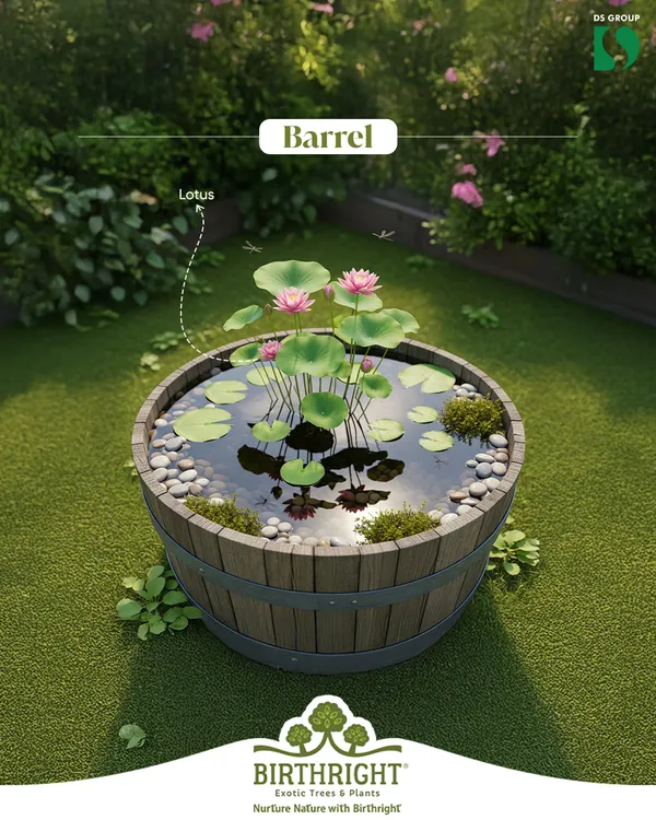 You can bring the magic of wetlands home, even in small spaces. This mini pond, created in a rustic barrel with lotus flowers, is a simple way to support local biodiversity and add a unique water feature to your garden.