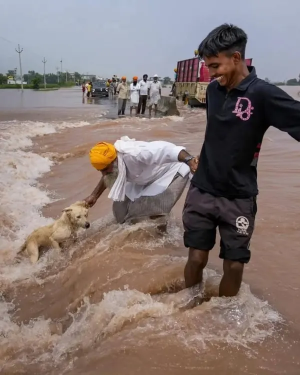 This is the India I fight for. Amid the chaos of the Amritsar floods, this is what humanity looks like. People risking themselves to save a life, proving that compassion is not dead. This is our hope.